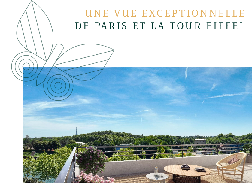 UNE VUE EXCEPTIONNELLE DE PARIS ET LA TOUR EIFFEL